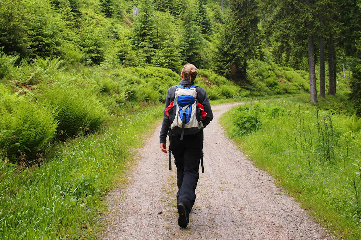 24 h Trophy: 24 Stunden wandern im Schwarzwald
