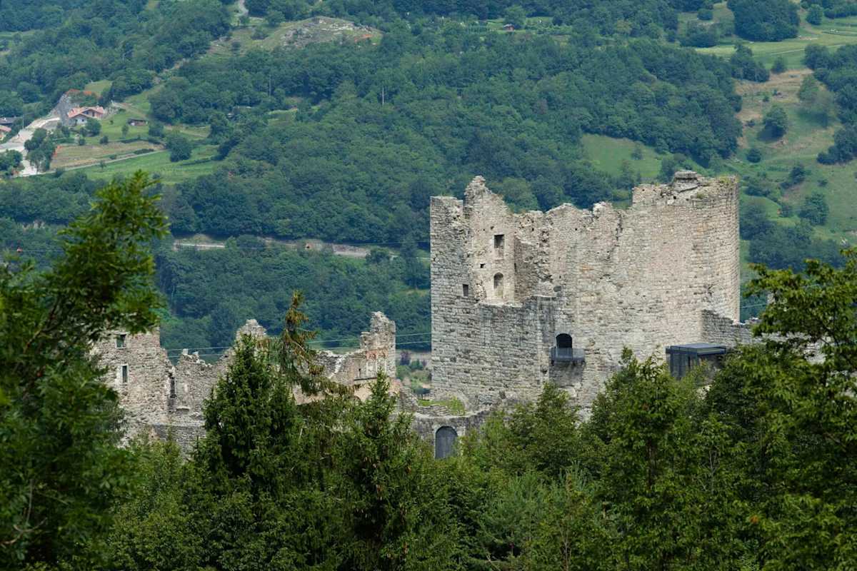 Eine Burgruine zwischen Baumwipfeln.