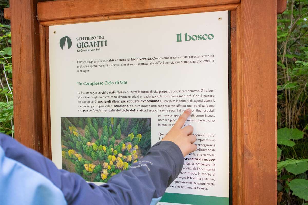 Eine Person zeigt mit dem Finger auf eine Infotafel über den Weg der Giganten auf der Alpe Cimbra.