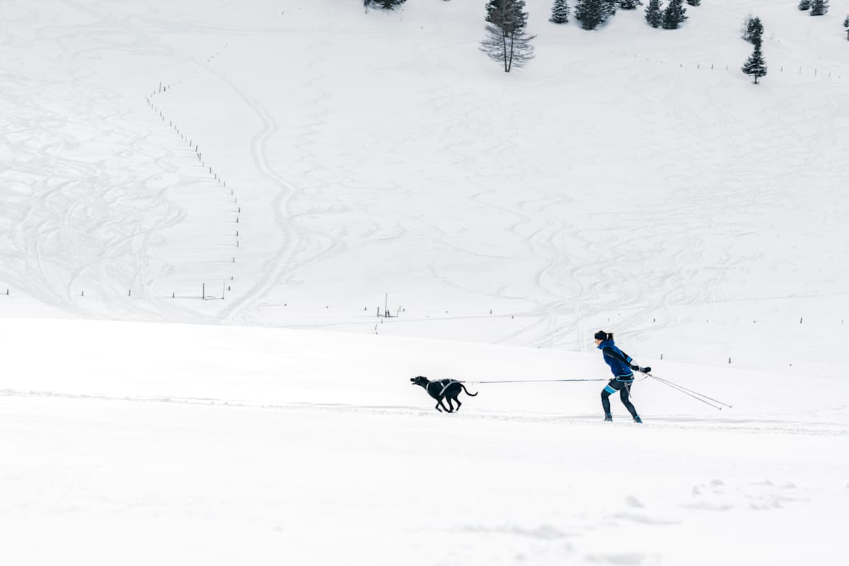 Anna wird von ihrem Hund Finn beim Langlaufen gezogen