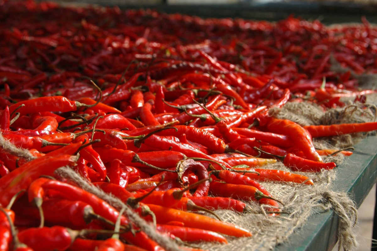 Chili