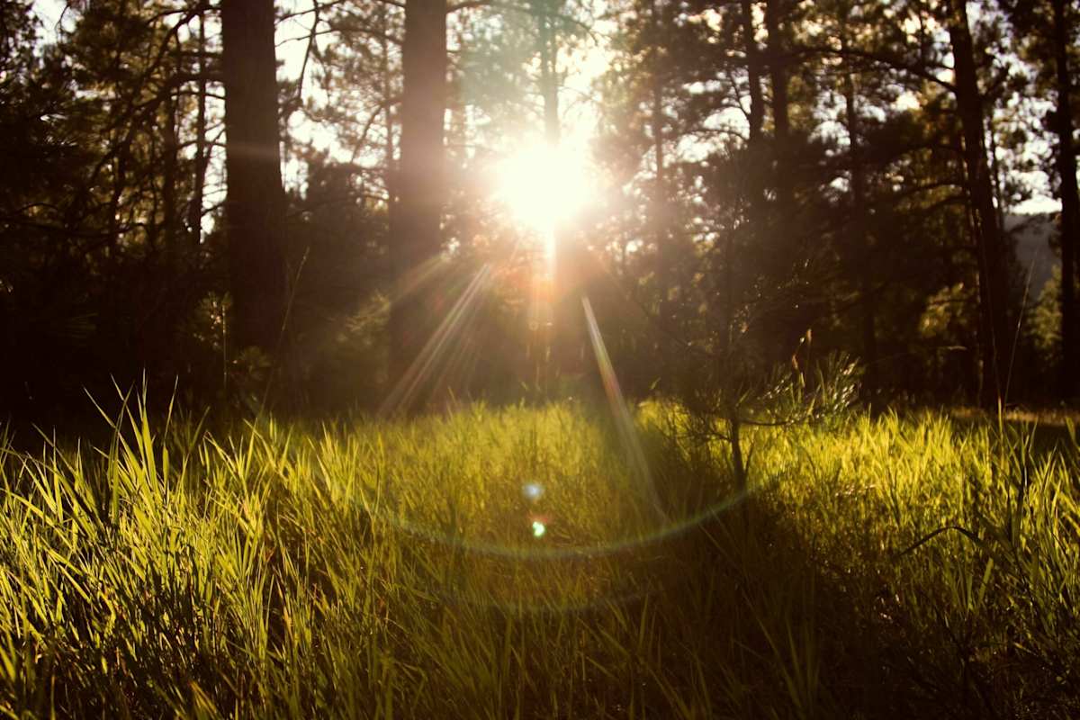 Sonnenzeiten: Wandern, wo die Sonne scheint