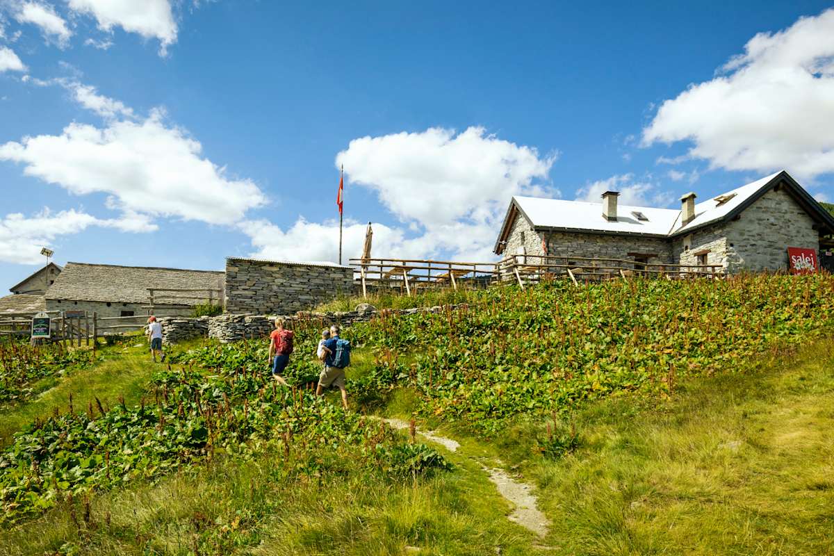Wanderer erreichen eine kleine Berghütte.