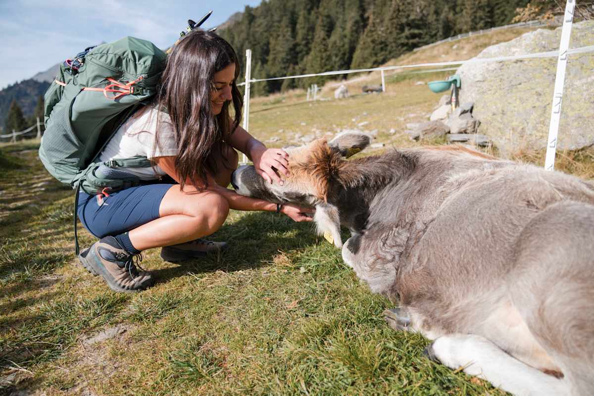 Eine Frau streichelt eine Kuh.