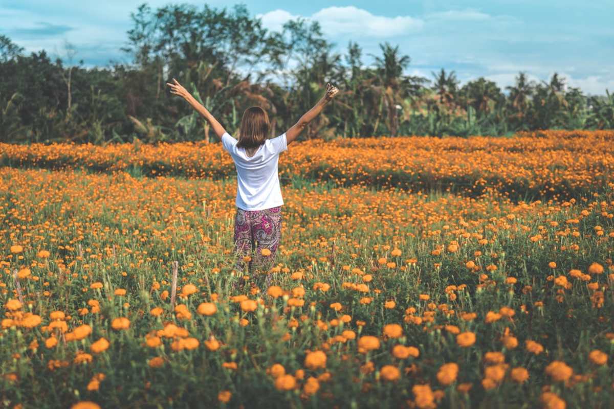 Ein Hoch auf die Welt der Flora