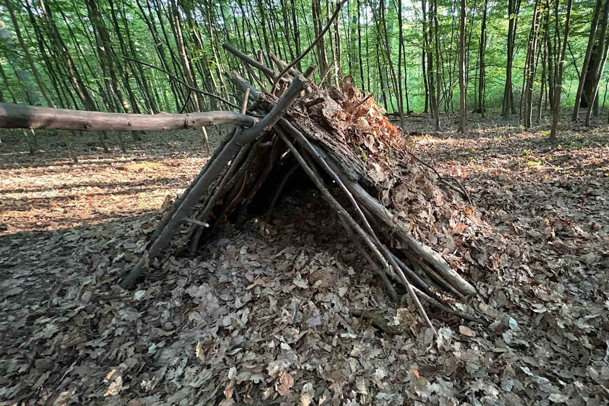 Biwak Wald Äste Laub
