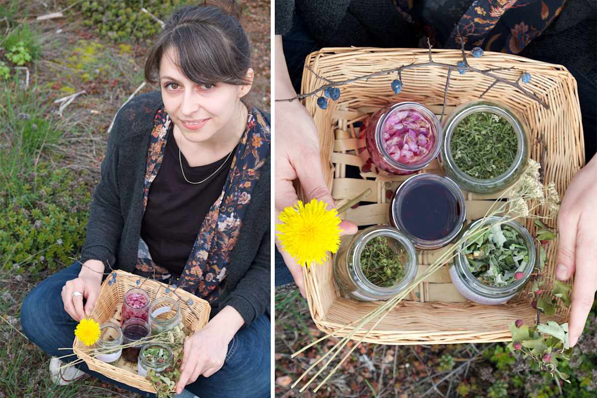 Ehrentag der Pflanze: Wildpflanzen & Heilkräuter