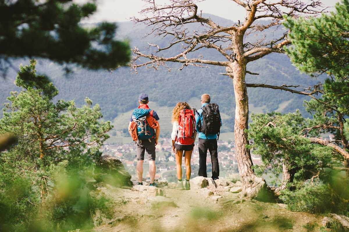 Drei Wanderer stehen auf einer Anhöhe und sehen ins Tal