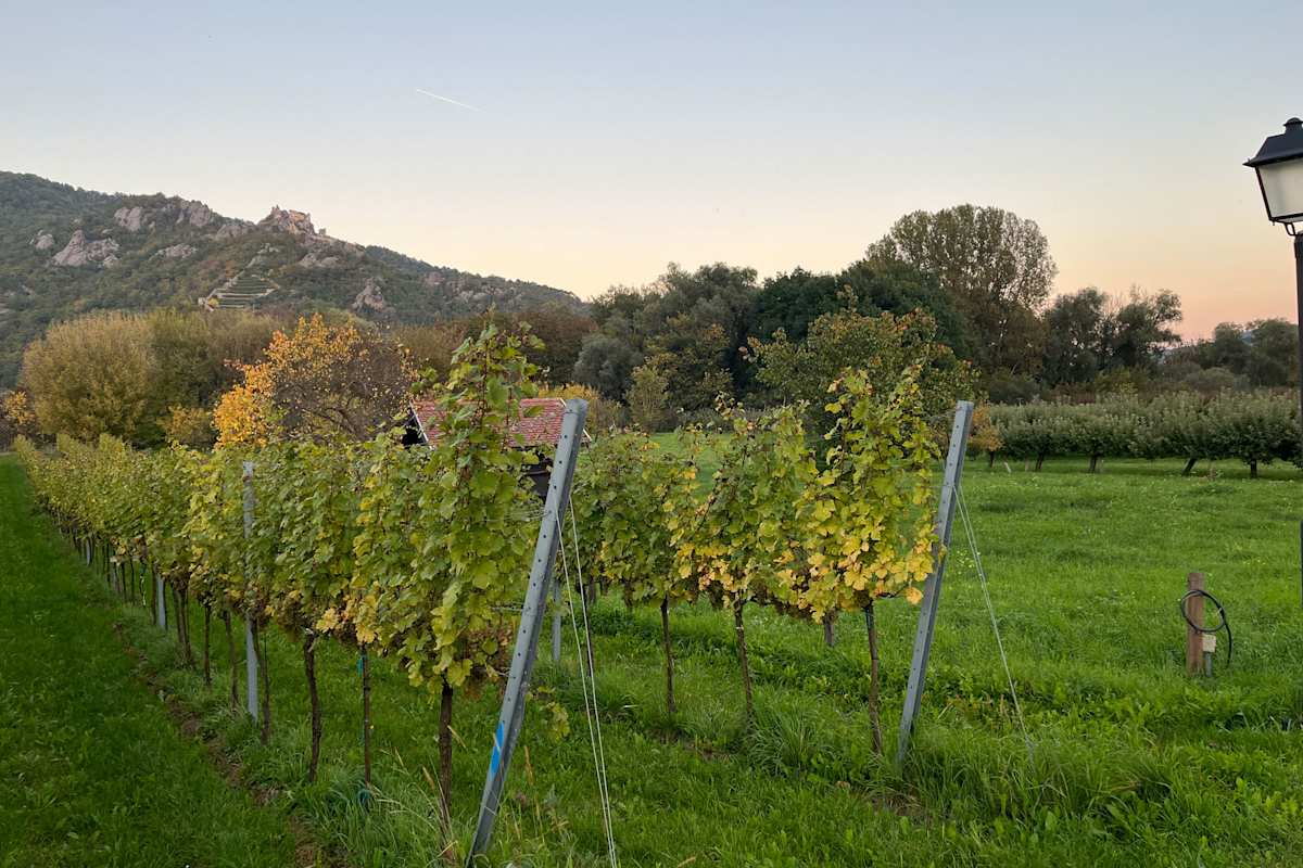 Wachau