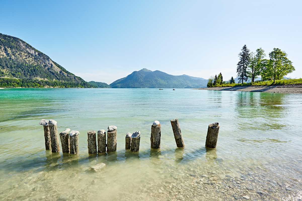 Holzpfähle im Wasser mit Steinen am Walchensee in Bayern.
