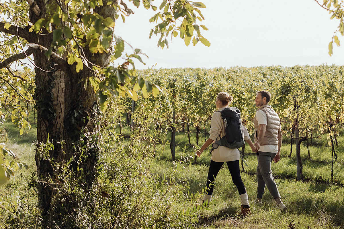 Die sanften Wege mitten durch die grüne Weinlandschaft entschleunigen mit jedem Schritt.