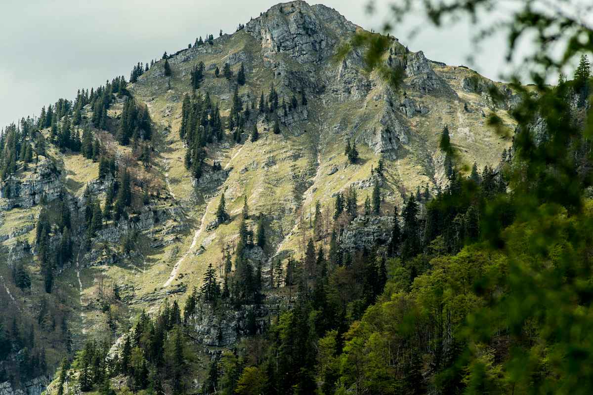 Der Dürrenstein.