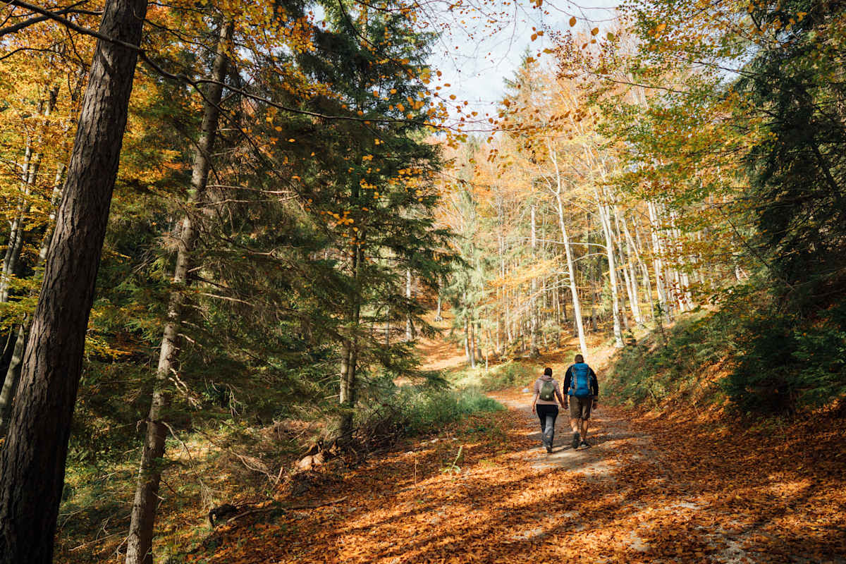 wir_herbstwandern_5_si202312194414