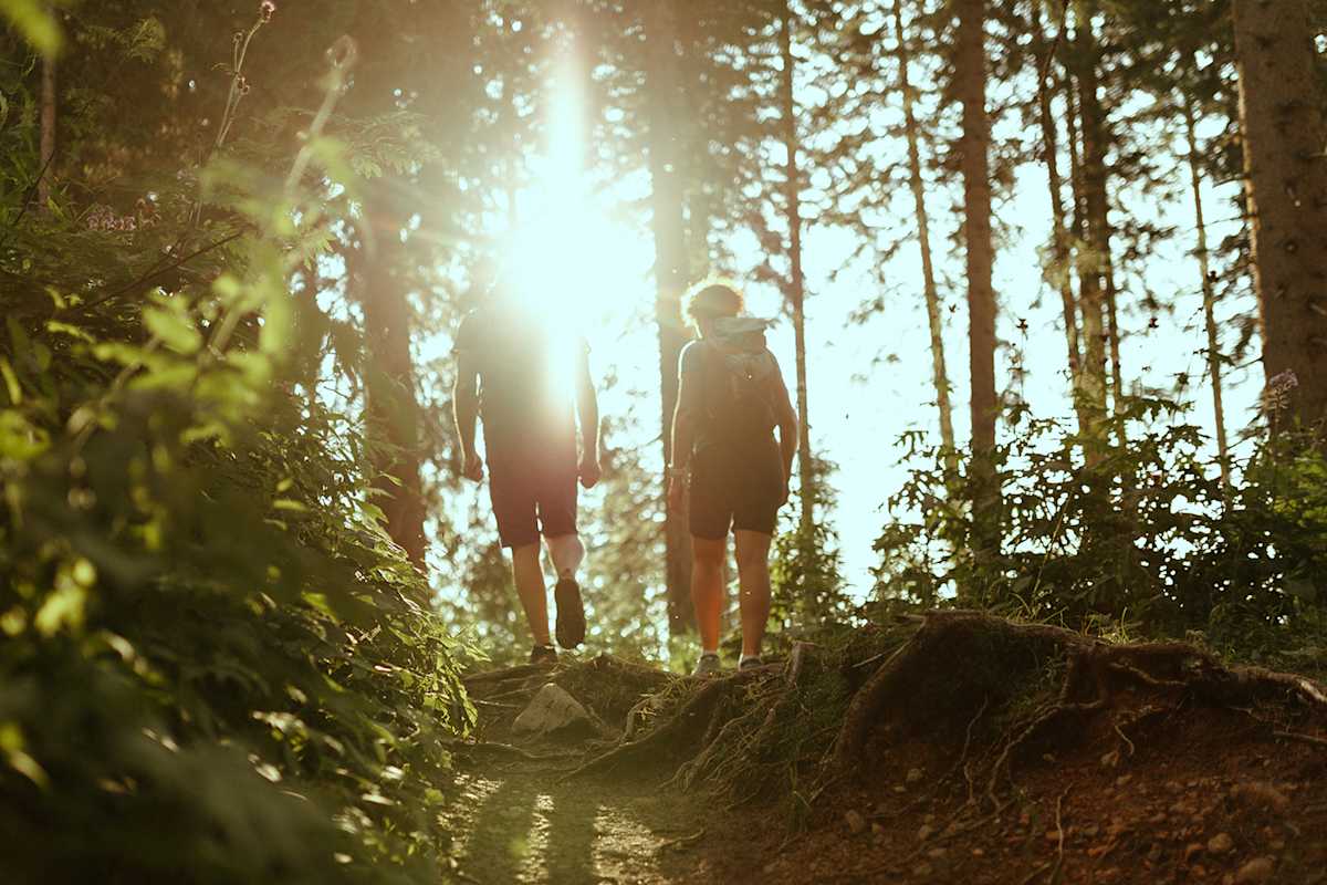 Achtsam unterwegs im Wald – Ruhe, Licht und neue Energie am Mindful.Latemar.