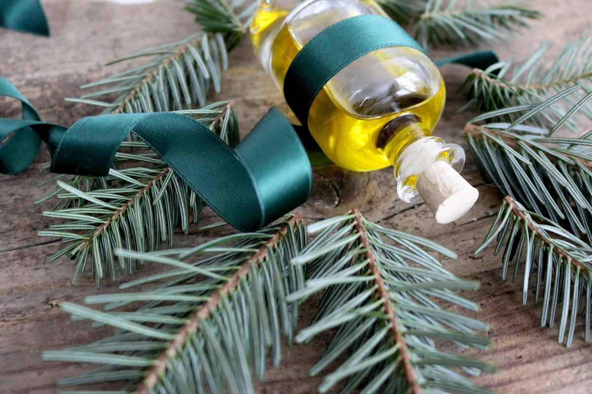 Up-Cycling: Badeöle, Tee und Co. können aus den Nadeln des Bio-Weihnachtsbaums zubereitet werden