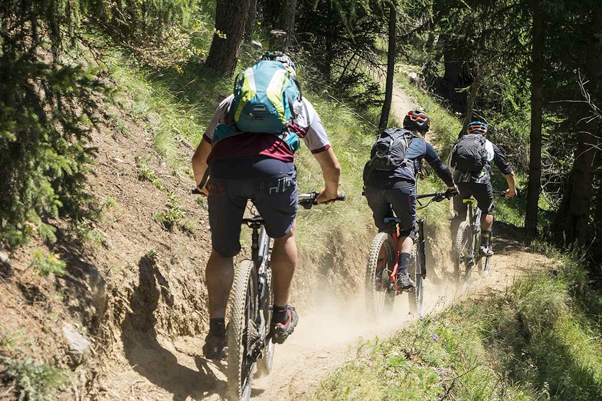Drei Mountainbiker fahren im Wald eine Route hinunter.