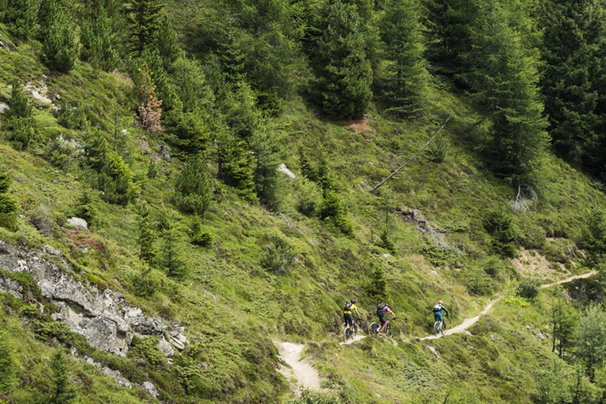 Drei Biker fahren eine Route hinunter.