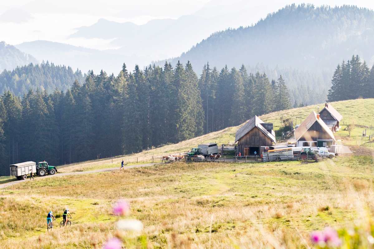 Eine Alm auf einer grünen Wiese. Im Vordergrund zwei Mountainbiker, die den Berg hinabfahren.
