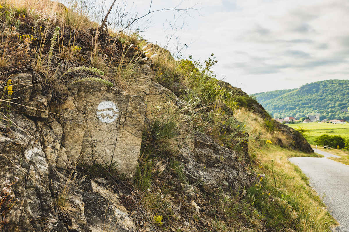 Durnstein; Flora & Fauna in Niederösterreich