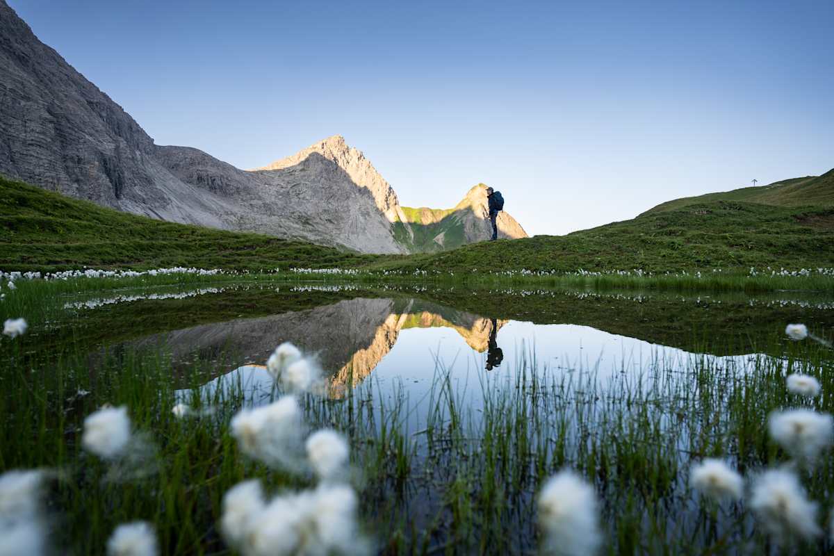 sommer in oberstdorf, berggipfel, wollgras am rappensee