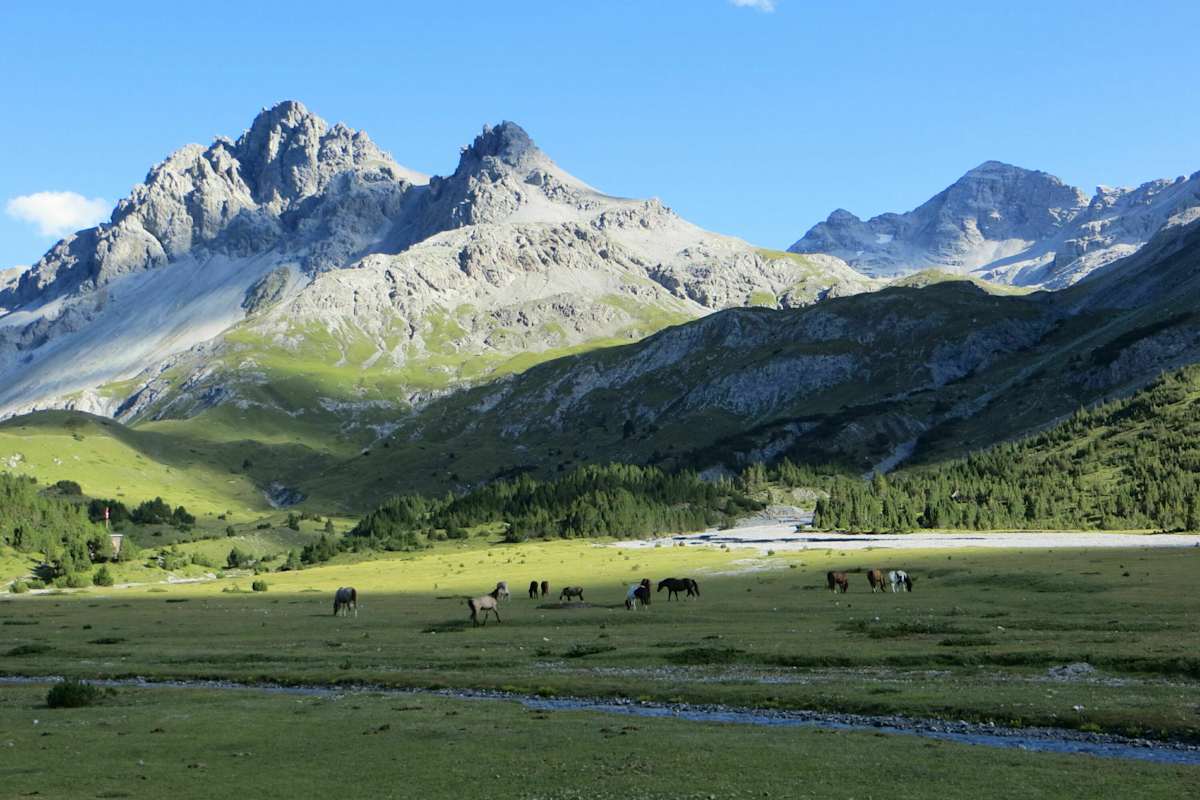 Alpencross