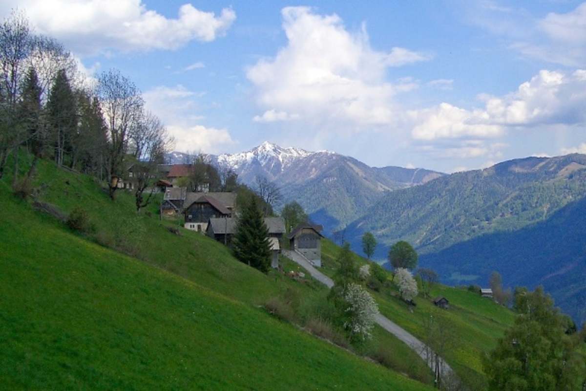 Berghöfewanderung Steinfeld - Blick zum Goldeck