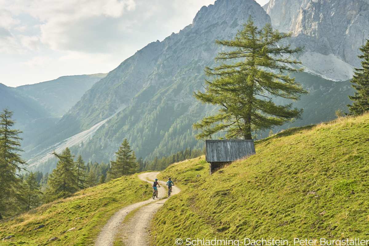 Zwei Radfahrer vor den Dachstein-Südwänden mit Stadel und Lärche