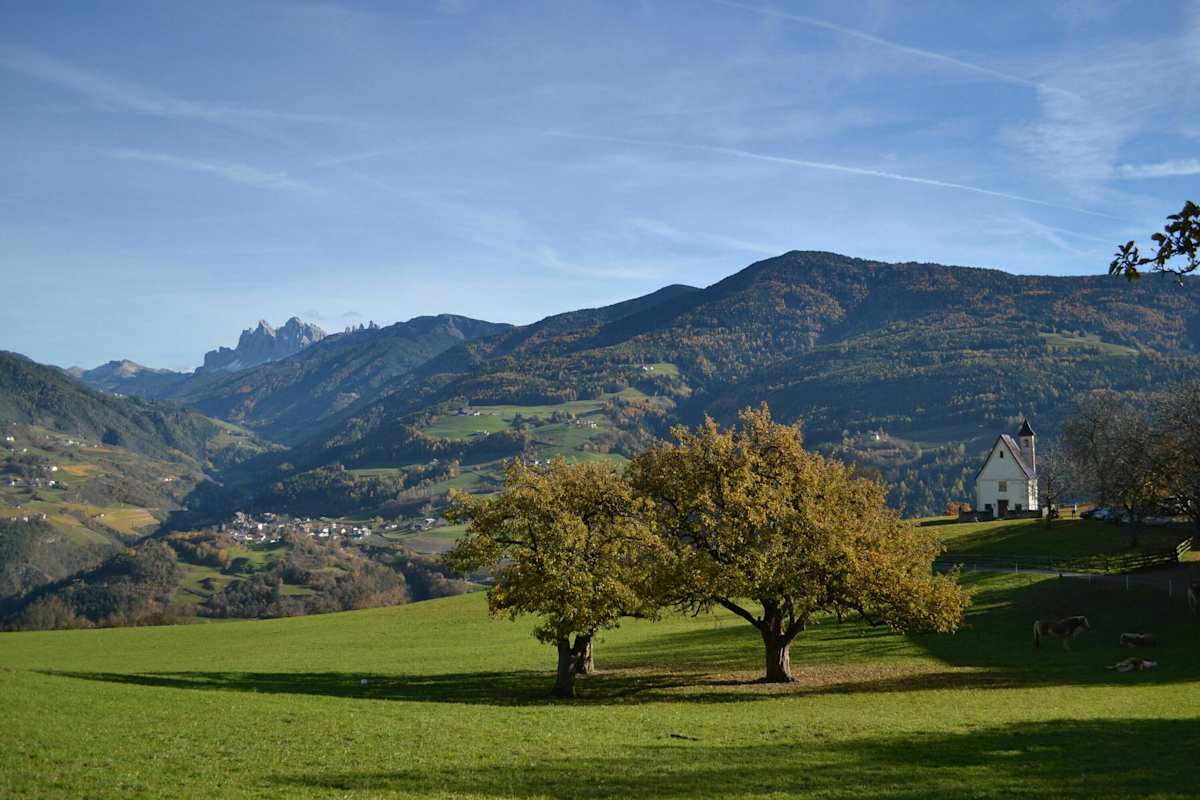 Impressionen am Keschtnweg in Pardell