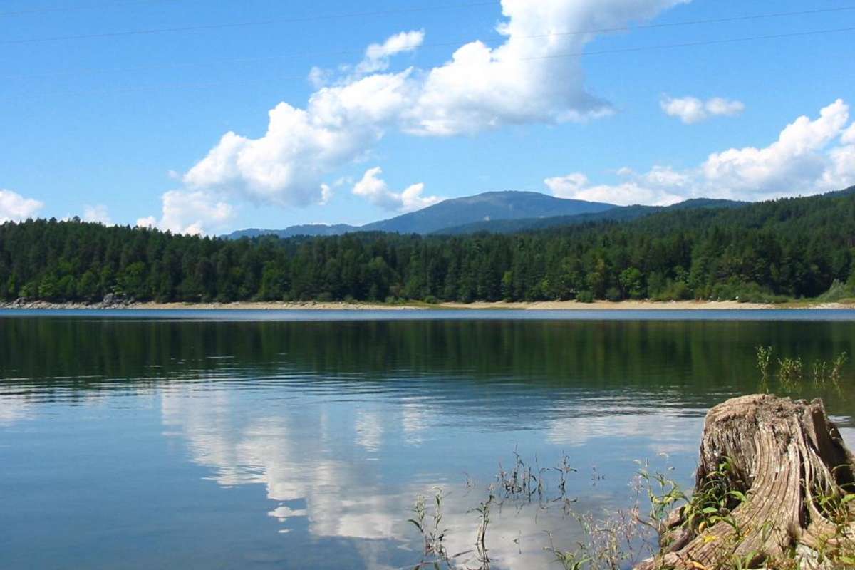 Auf der Forstsee-Runde