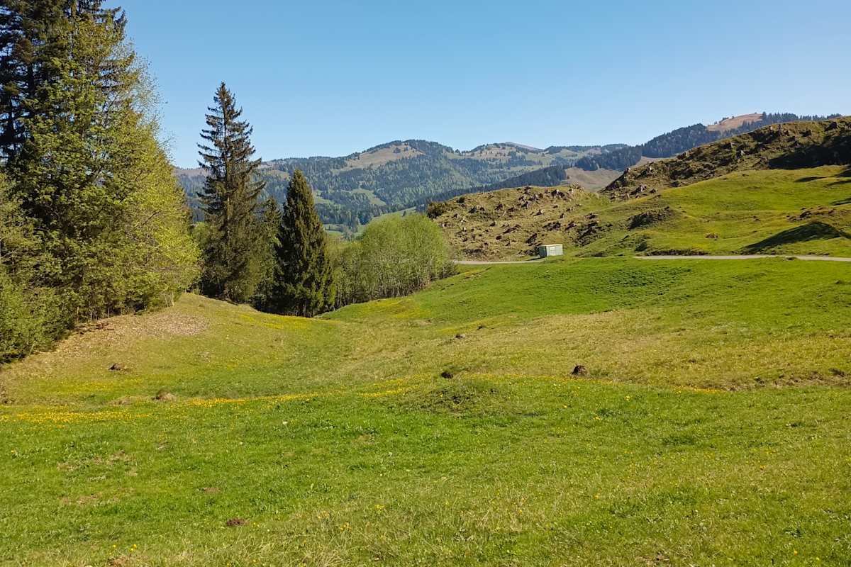 Raus aus der Nagelfluhkette Richtung Bregenzer Wald