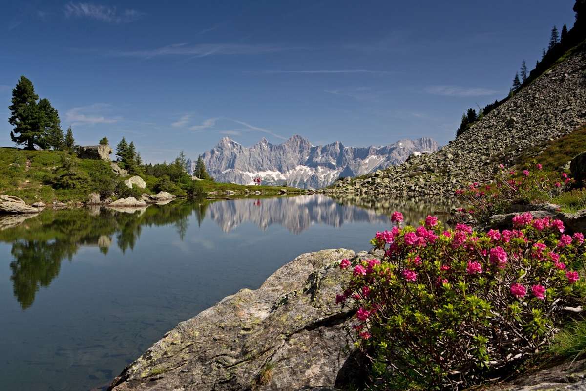 Der Spiegelsee