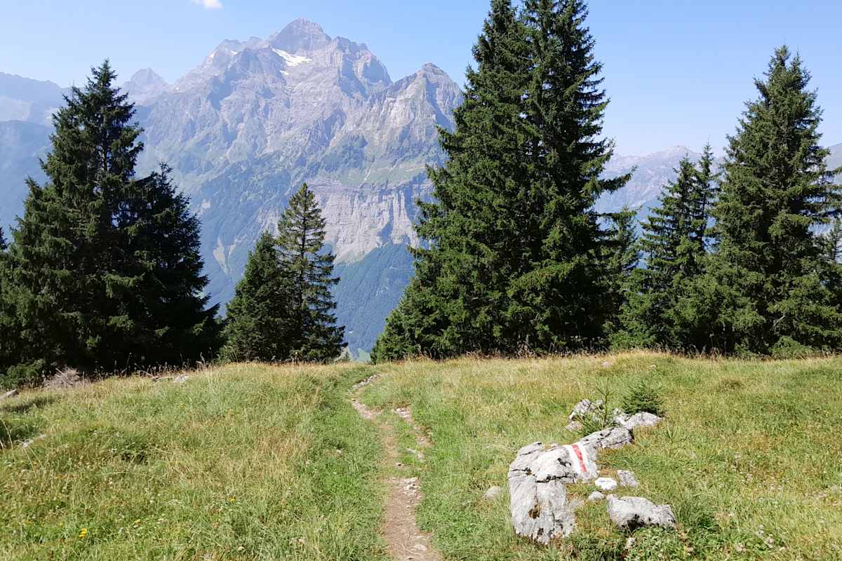 Blick nach Westen
