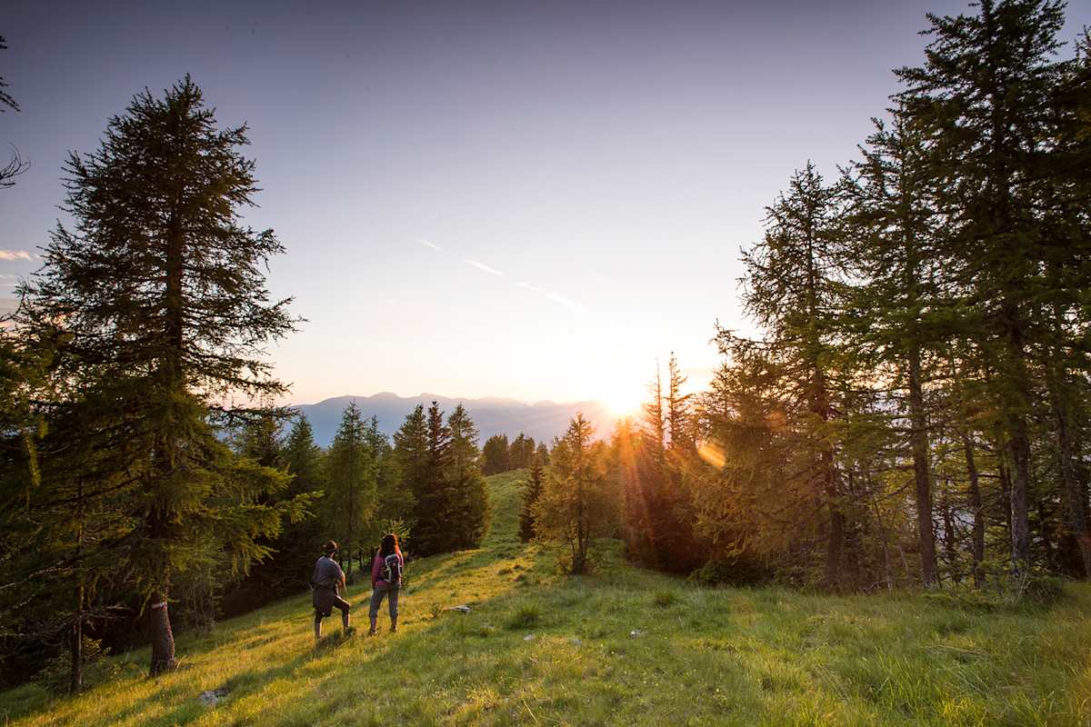 Unterwegs auf dem weichen Almboden der Hochrindl