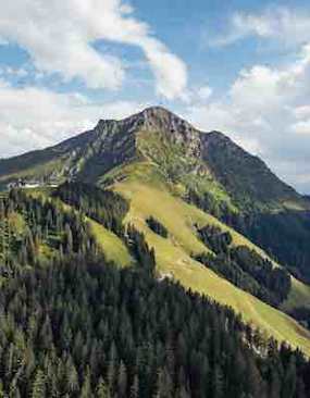 Kitzbüheler Alpen Sommer
