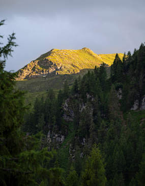 Salzburger Schieferalpen Sommer
