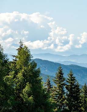 Lavanttaler Alpen Sommer