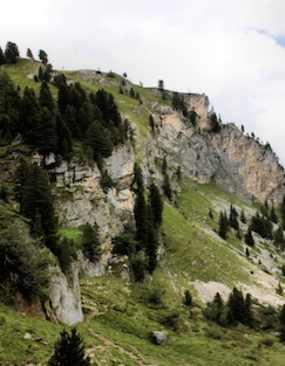 Tuxer Alpen Sommer