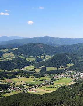 Gutensteiner Alpen Sommer