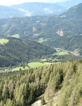 Mürzsteger Alpen Sommer