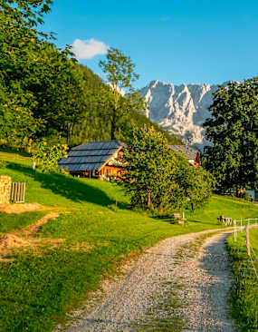 Steiner Alpen Sommer