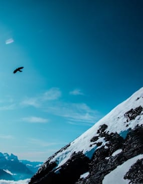 Stubaier Alpen Sommer