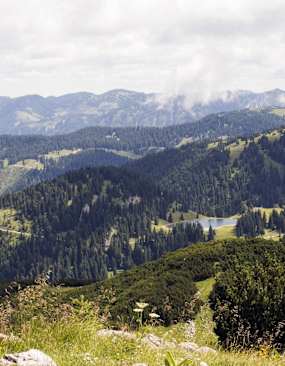 Ybbstaler Alpen Sommer