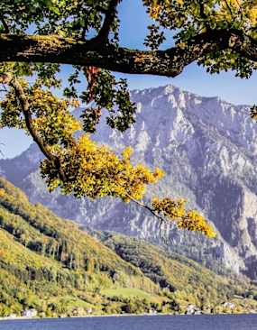 Oberösterreichische Voralpen Sommer