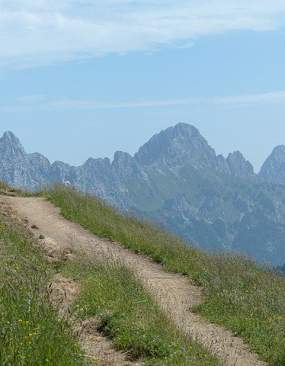 Karnischer Hauptkamm Sommer