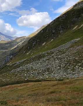 Goldberggruppe Sommer