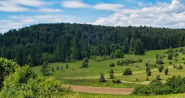 Sommerlandschaften der Schwäbischen Alb