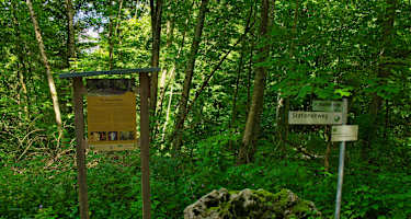 Der „Schwäbische Alb Stationenweg“ durch den Wald von Altsteußlingen