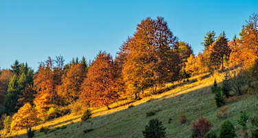 Herbststimmung auf der Schwäbischen Alb bei Mehrstetten