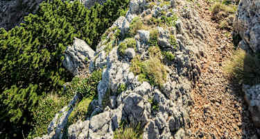 Novembergrat im Wilden Osten