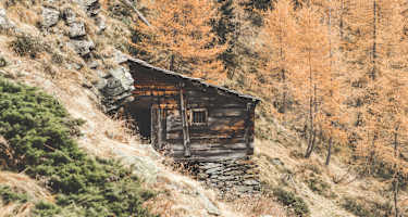 Wangenitzalm